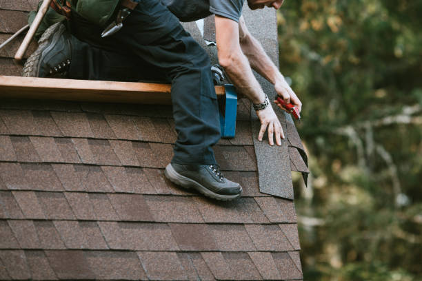 Choisir le bon professionnel pour peindre votre toit est crucial. Un Couvreur Zingueur Charpentier Nettoyage Toiture Bron