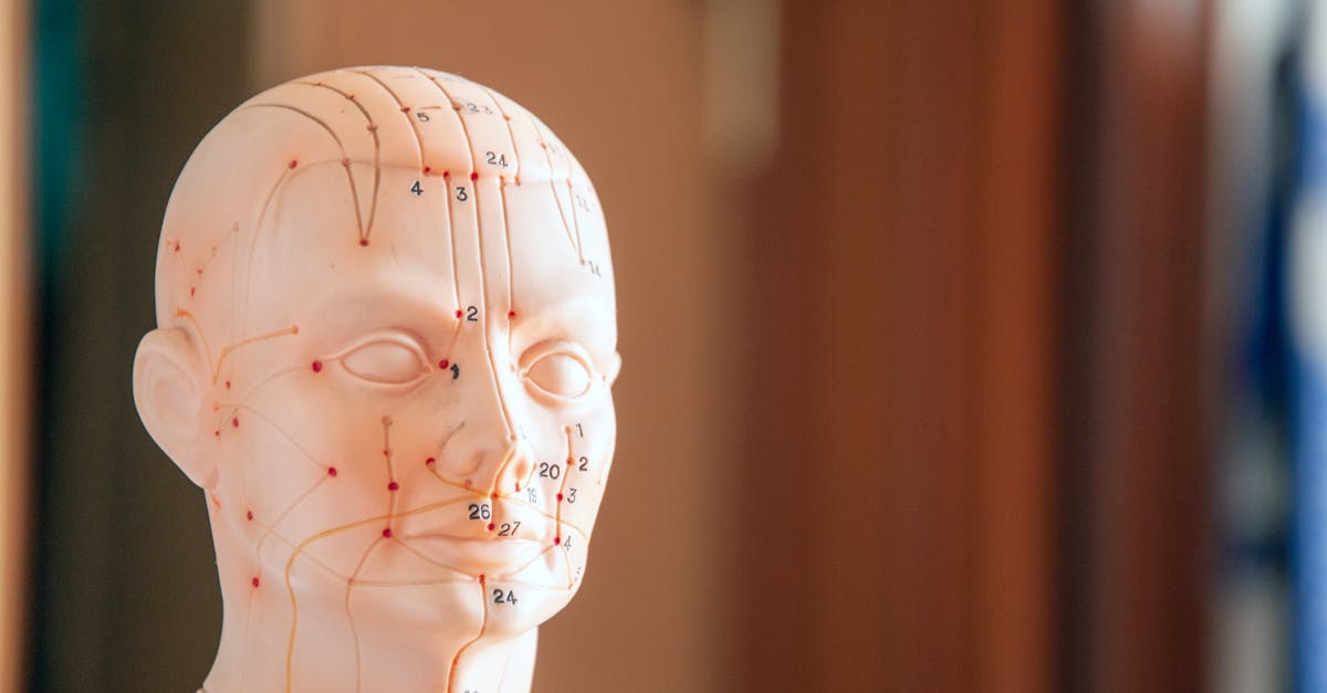 découvrez l'acupression, une pratique millénaire issue de la médecine traditionnelle chinoise. cette méthode de stimulation des points d'acupuncture favorise la relaxation, soulage le stress et améliore le bien-être général. plongez dans l'art de l'acupression pour harmoniser votre corps et votre esprit.
