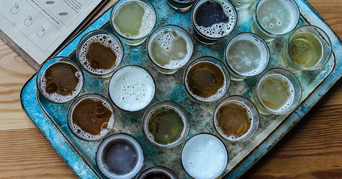 découvrez l'univers fascinant de la bière artisanale : des saveurs uniques, des ingrédients locaux et des techniques de brassage traditionnelles. rejoignez la révolution de la craft beer et goûtez à des créations authentiques qui raviront vos papilles.