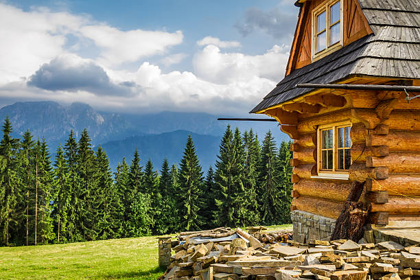 Construction chalet Haute-Savoie