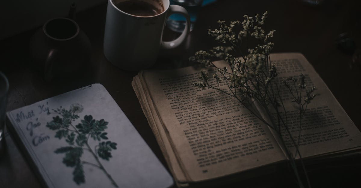 découvrez l'univers littéraire à travers des analyses, critiques et recommandations de livres captivants. plongez dans des récits inspirants et enrichissez votre amour de la lecture.