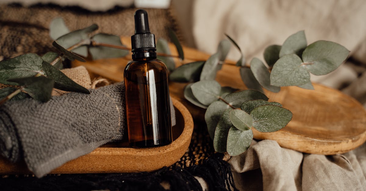 découvrez les secrets d'un mode de vie naturel et sain. apprenez à intégrer des pratiques éco-responsables, des aliments bio et des remèdes naturels pour améliorer votre bien-être au quotidien.