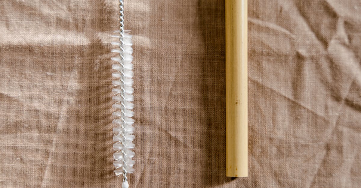 découvrez l'art de vivre naturellement avec des conseils écoresponsables, des recettes saines et des astuces pratiques pour adopter un mode de vie en harmonie avec la nature. transformez votre quotidien et embrassez une existence plus sereine et respectueuse de l'environnement.