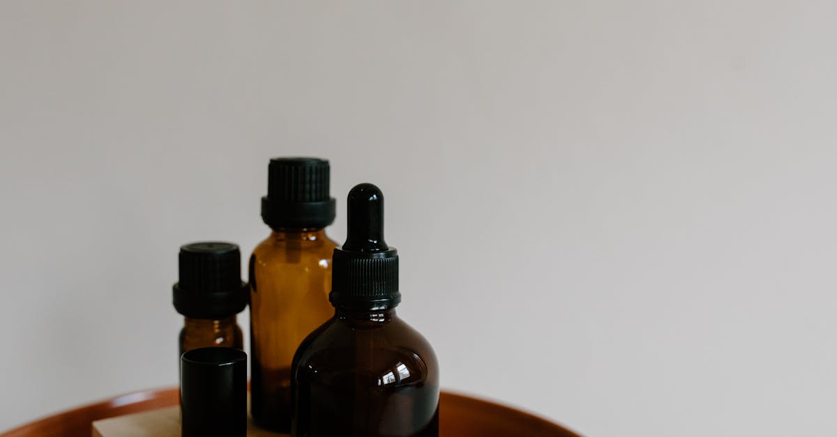 découvrez l'art du 'natural living' : une approche de vie saine et durable qui privilégie les méthodes naturelles pour améliorer votre bien-être au quotidien. plongez dans des conseils pratiques, des recettes bio et des astuces éco-responsables pour vivre en harmonie avec la nature.