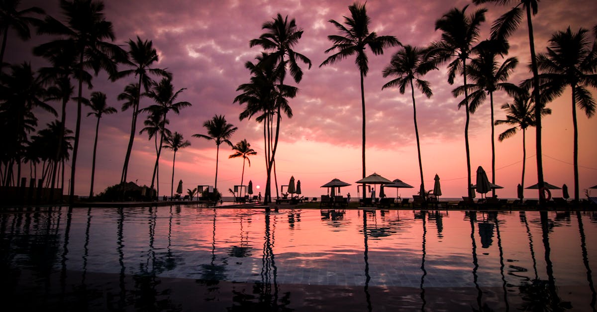 découvrez un véritable paradis sur terre, où la beauté naturelle et la sérénité se rencontrent. plages de sable blanc, eaux turquoise et paysages époustouflants vous attendent pour une évasion inoubliable.
