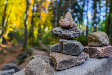 découvrez l'importance de la balance dans votre vie quotidienne. que ce soit pour la santé, la nutrition ou le bien-être, apprenez à équilibrer votre poids et vos habitudes pour une vie saine et harmonieuse.