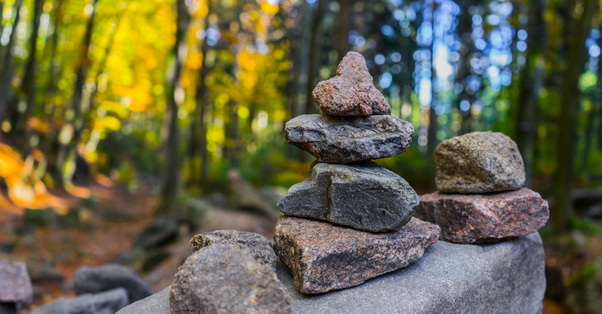 découvrez l'importance de la balance dans votre vie quotidienne. que ce soit pour la santé, la nutrition ou le bien-être, apprenez à équilibrer votre poids et vos habitudes pour une vie saine et harmonieuse.