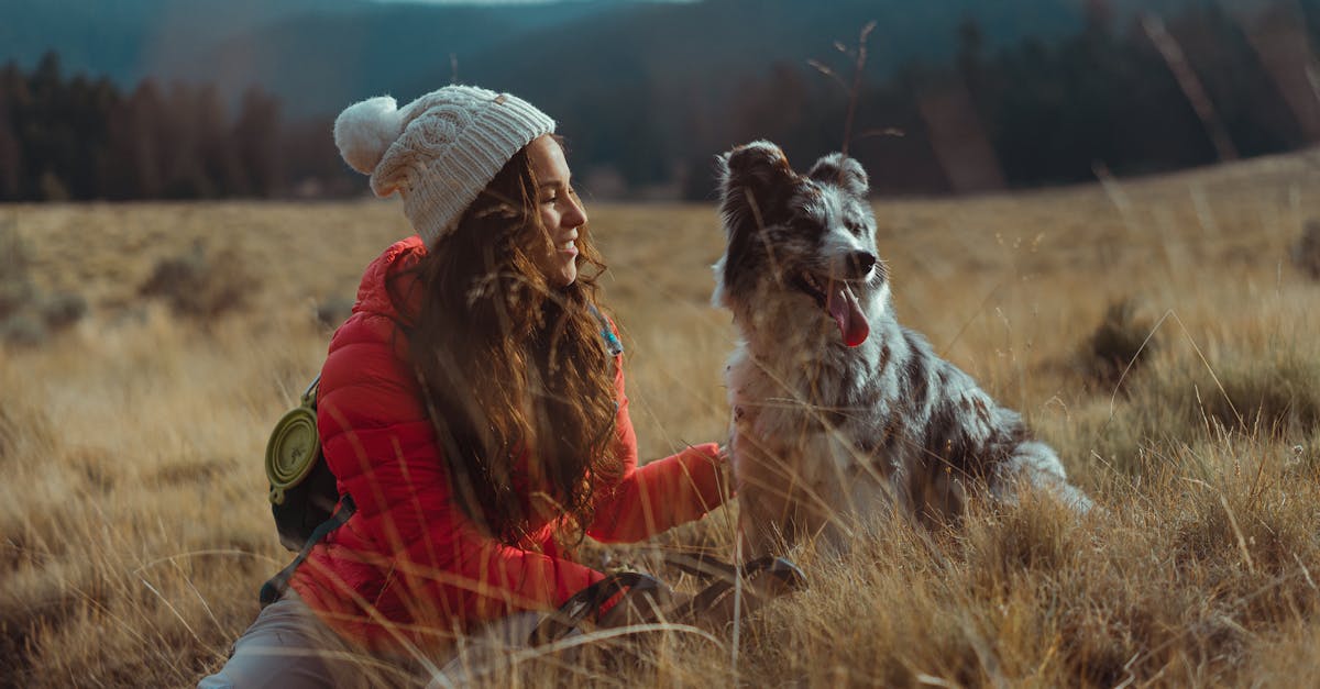 découvrez notre sélection tendance de bonnets beanie, parfaits pour allier confort et style. idéaux pour les journées fraîches, nos bonnets sont disponibles dans une variété de couleurs et de motifs. mettez une touche chic à votre tenue tout en restant au chaud !