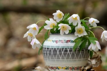 découvrez notre sélection de vases décoratifs uniques qui ajoutent une touche d'élégance à votre intérieur. idéals pour sublimer vos fleurs ou servir d'objets d'art, nos vases s'adaptent à tous les styles de décoration. trouvez le vase parfait pour chaque pièce et éveillez votre créativité décorative !