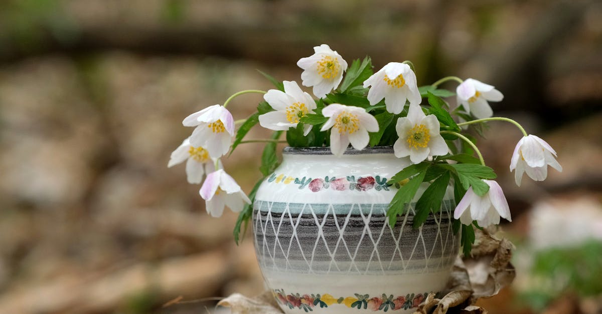 découvrez notre sélection de vases décoratifs uniques qui ajoutent une touche d'élégance à votre intérieur. idéals pour sublimer vos fleurs ou servir d'objets d'art, nos vases s'adaptent à tous les styles de décoration. trouvez le vase parfait pour chaque pièce et éveillez votre créativité décorative !