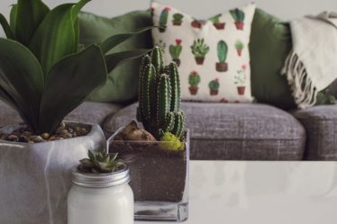 découvrez tout ce qu'il faut savoir sur les 'throws' en programmation : définition, utilisation, et exemples pratiques pour maîtriser cette notion essentielle dans la gestion des exceptions.