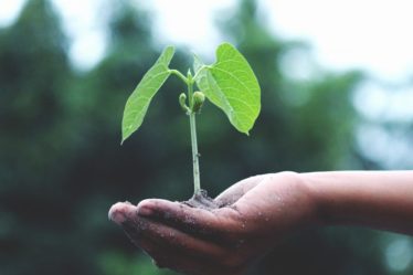 découvrez des stratégies efficaces pour stimuler la croissance de votre entreprise et atteindre vos objectifs commerciaux rapidement et durablement.