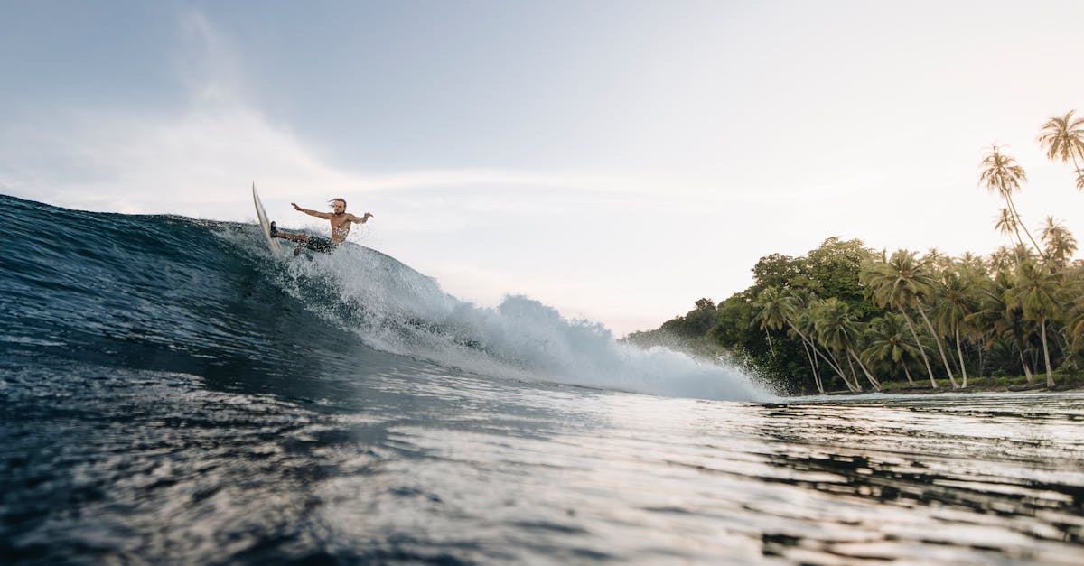 découvrez nos meilleurs conseils pour voyager à bali : astuces pratiques, lieux incontournables, sécurité et bons plans pour profiter pleinement de votre séjour sur l’île des dieux.
