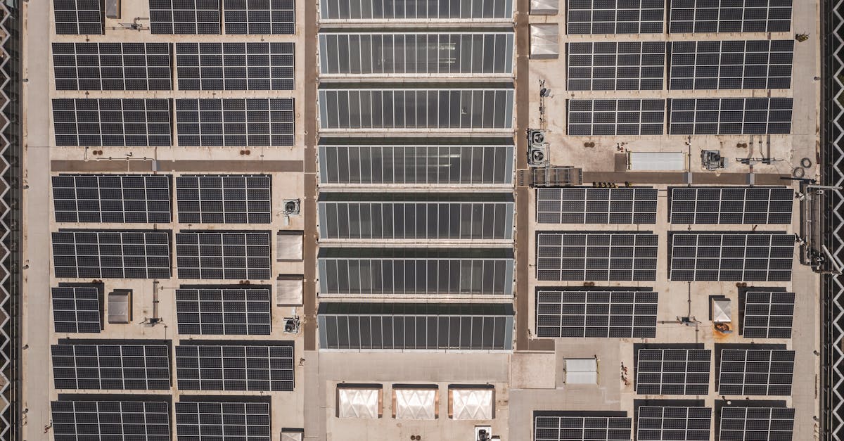 découvrez des solutions durables pour un avenir plus respectueux de l'environnement. conseils, innovations et pratiques responsables pour adopter un mode de vie écologique et efficace.