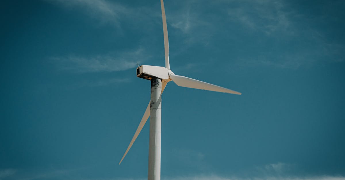 découvrez des solutions durables innovantes pour un avenir respectueux de l’environnement et des ressources. explorez nos conseils et méthodes pour adopter une démarche éco-responsable au quotidien.