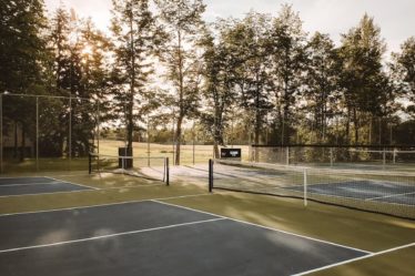 basketball court surrounded by trees