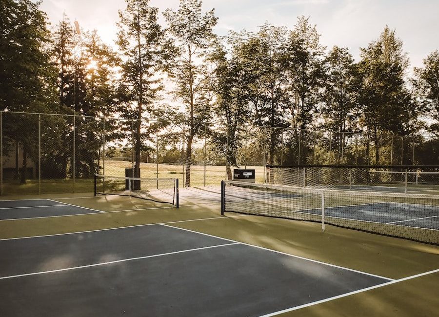 basketball court surrounded by trees